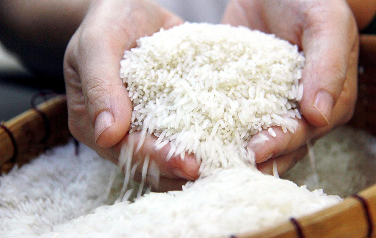 Hướng dẫn bảo quản gạo ngon Bắc Thơm Hải Hậu