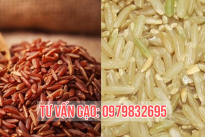 Gạo lứt và gạo lứt huyết rồng khác nhau ở điểm nào