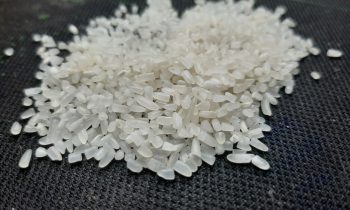 gao tam ngon