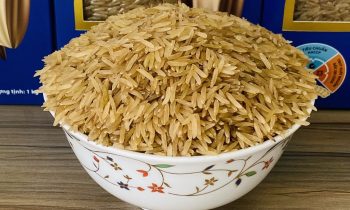 Gạo mầm Vibigaba mua ở đâu