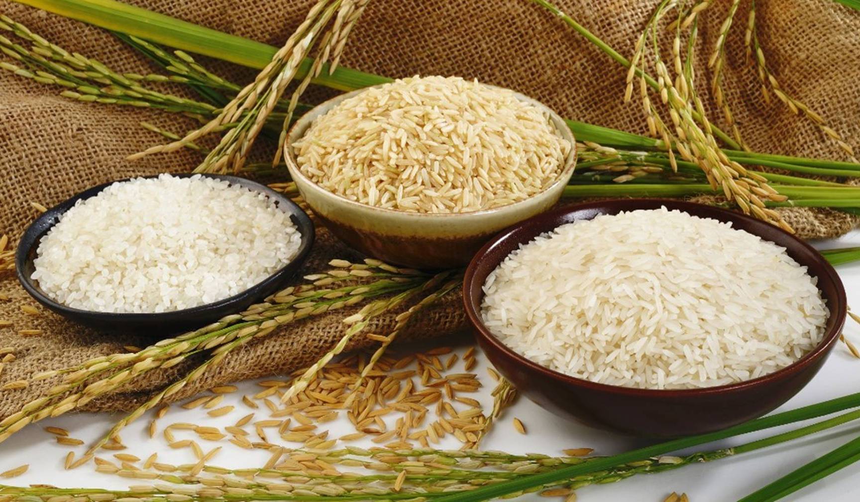 Quốc Huy hỗ trợ mua gạo online giao ngay trong ngày