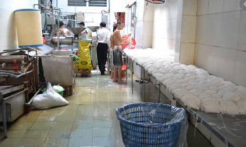 Các Loại Gạo Làm Bún Được Ưa Chuộng Nhất Hiện Nay