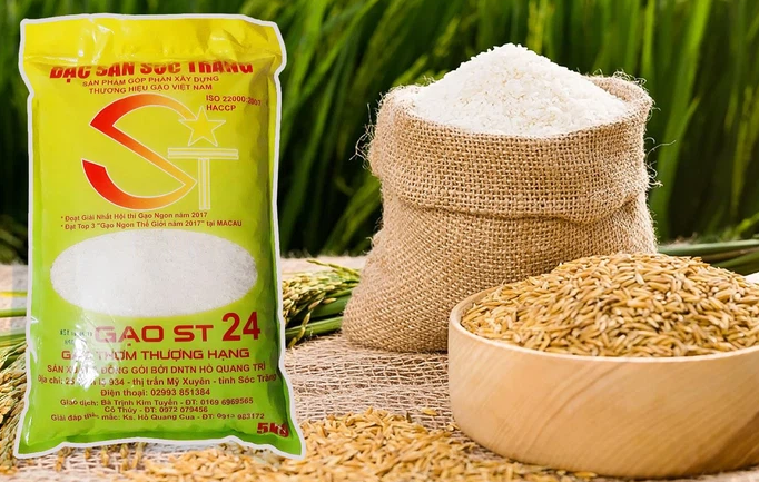 Chọn mua gạo ST24 chuẩn tại Thực phẩm Quốc Huy