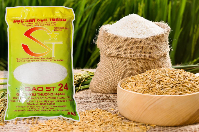 Gạo ST24 là gạo gì?
