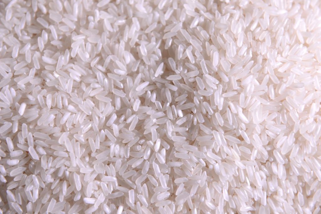 Gạo 504 là gạo gì?