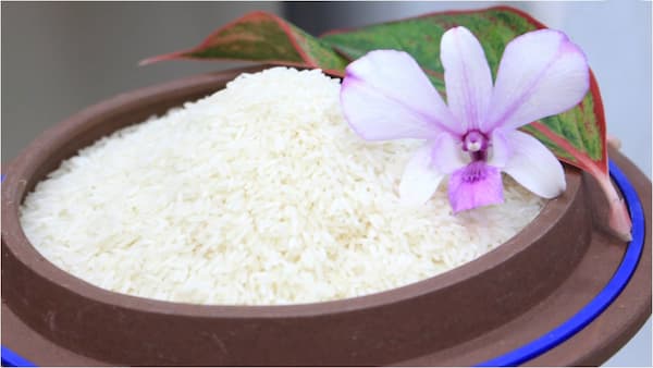 So sánh gạo Tám Thái với gạo ST