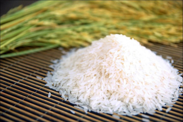 Gạo ST - giống gạo ngon nhất thế giới