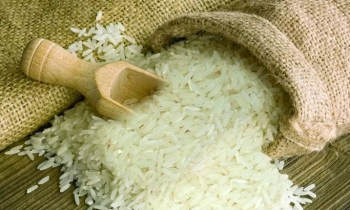 Những hạt gạo no tròn đẹp mắt và thơm nức mũi khi nấu chín