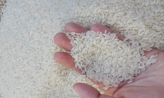 Quốc Huy mang đến cho khách hàng gạo chuẩn gốc Nam Định