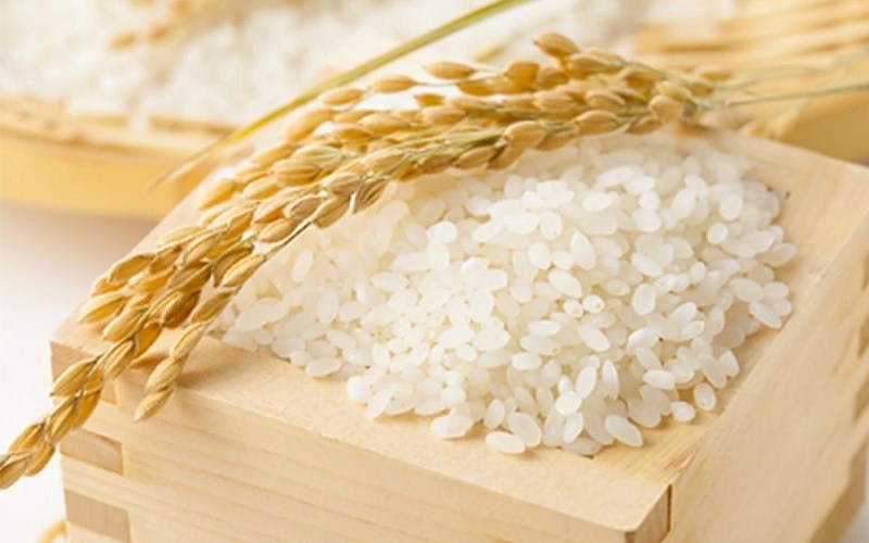 Tại Hải Phòng, Quốc Huy hiện bán những loại gạo tấm nào?