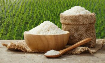 Mua Gạo Tấm Ở Đâu? Có Bao Nhiêu Loại Gạo Tấm? | Quốc Huy