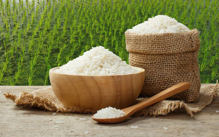 Mua Gạo Tấm Ở Đâu? Có Bao Nhiêu Loại Gạo Tấm? | Quốc Huy
