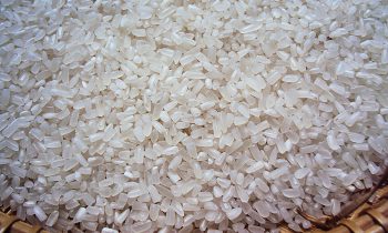 Địa Chỉ Mua Gạo Tấm Hải Phòng Giá Rẻ Chất Lượng Uy Tín