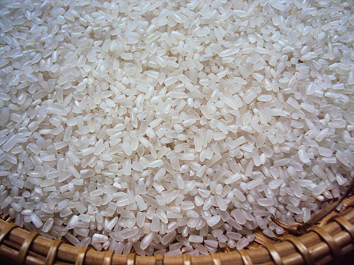 Thương hiệu cung cấp gạo tấm Hải Phòng uy tín, giá tốt
