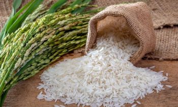1kg Gạo Làm Được Bao Nhiêu Kg Bánh Cuốn? |Thực Phẩm Quốc Huy