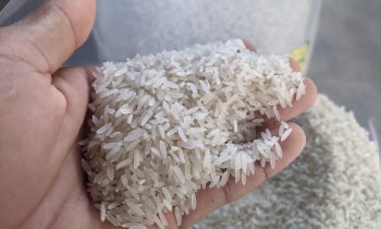 Cách Nấu Cơm Tấm Tại Nhà Đơn Giản, Mềm Dẻo, Dễ Làm