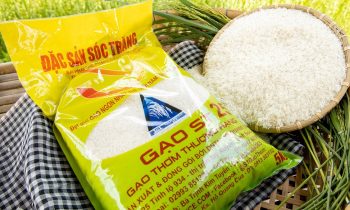 Phân Biệt Gạo ST25 Giả Và ST25 Ông Cua Thật Trên Thị Trường