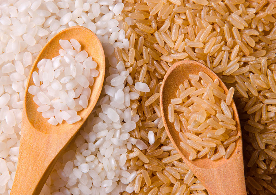 Chọn nguyên liệu nấu rượu gạo đúng chuẩn