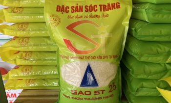 Gạo ST25 Bán Ở Đâu Hà Nội? Đại Lý Cung Cấp ST25 Chính Hãng