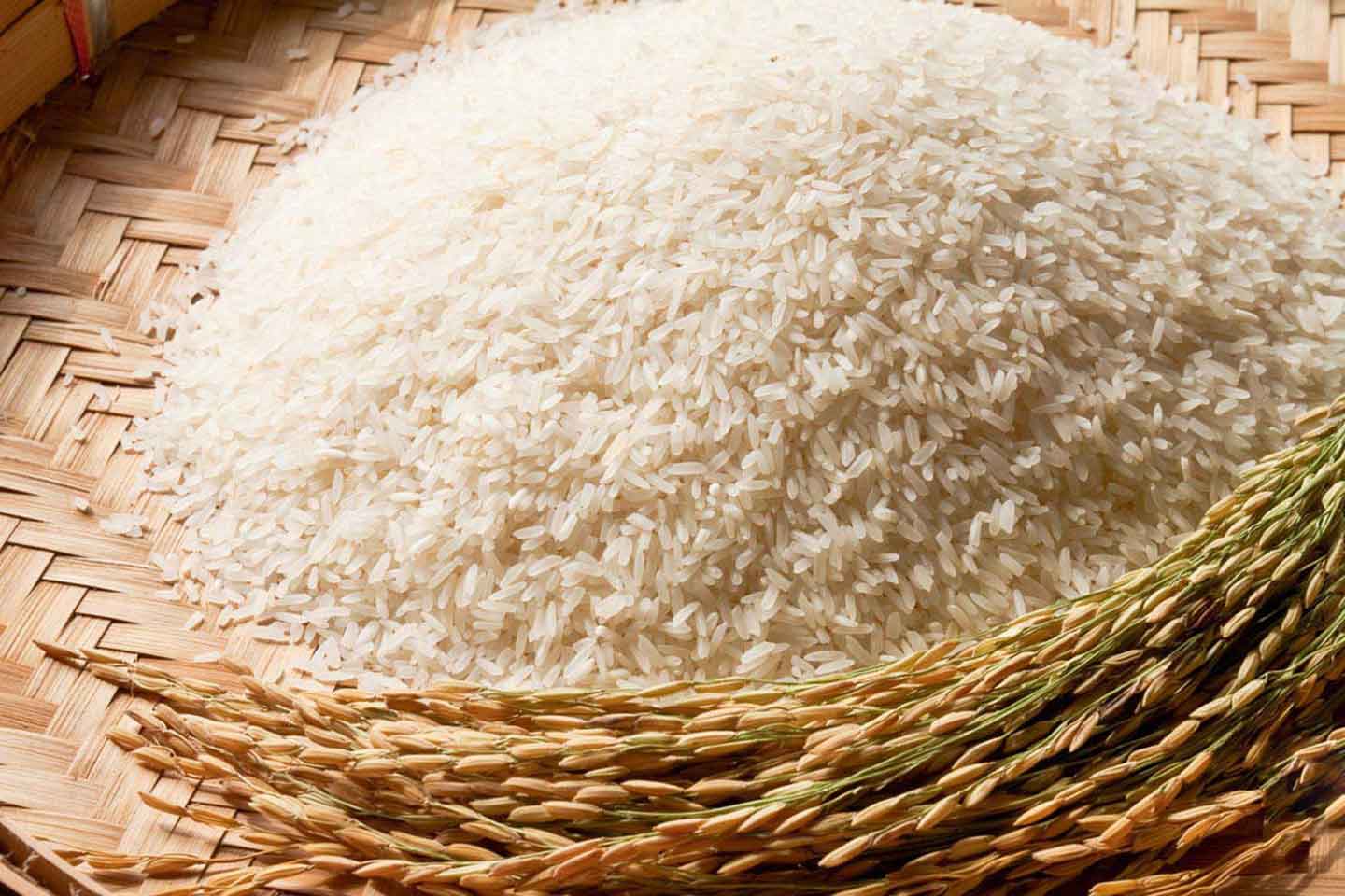 Vì sao gạo tám Hải Hậu được nhiều người ưa chuộng?