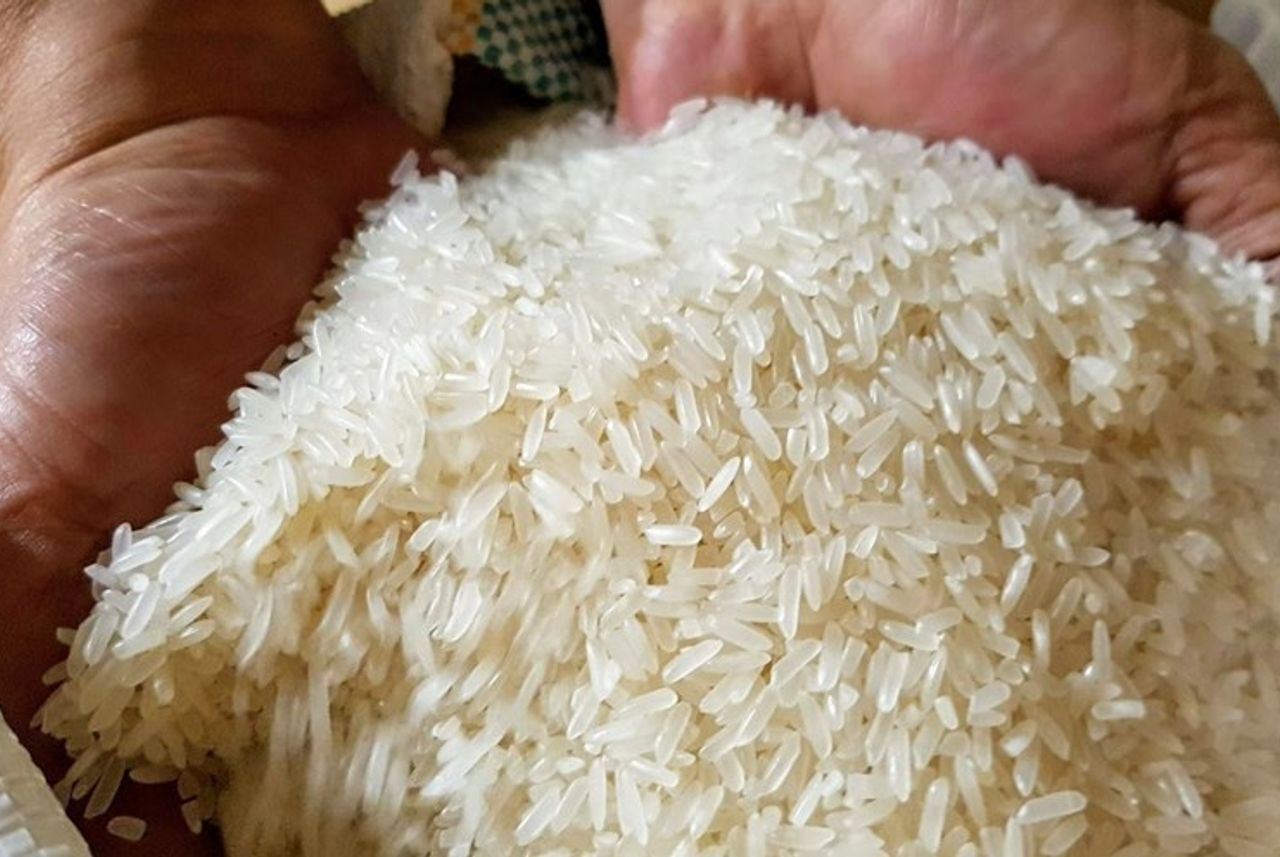 Cách chọn gạo tẻ ngon, chuẩn chất lượng