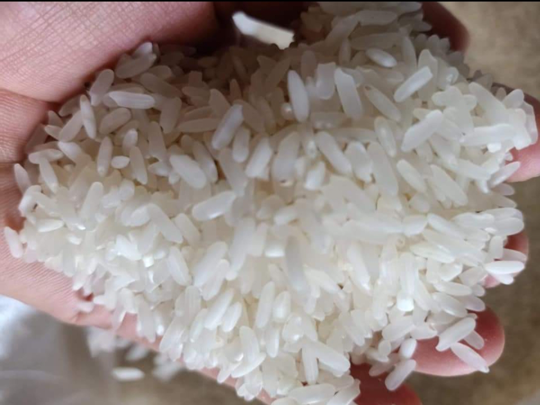 Chất lượng gạo Séng Cù