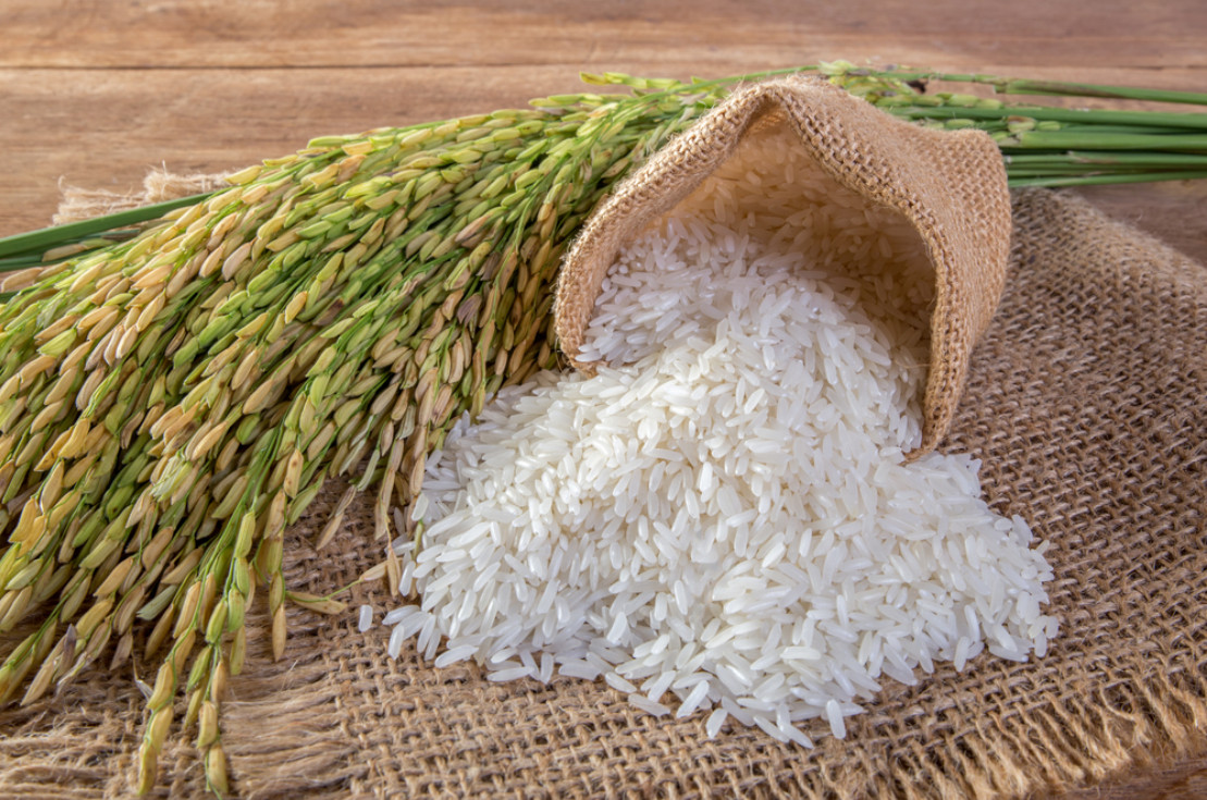 Công dụng hữu ích của gạo tẻ với sức khỏe