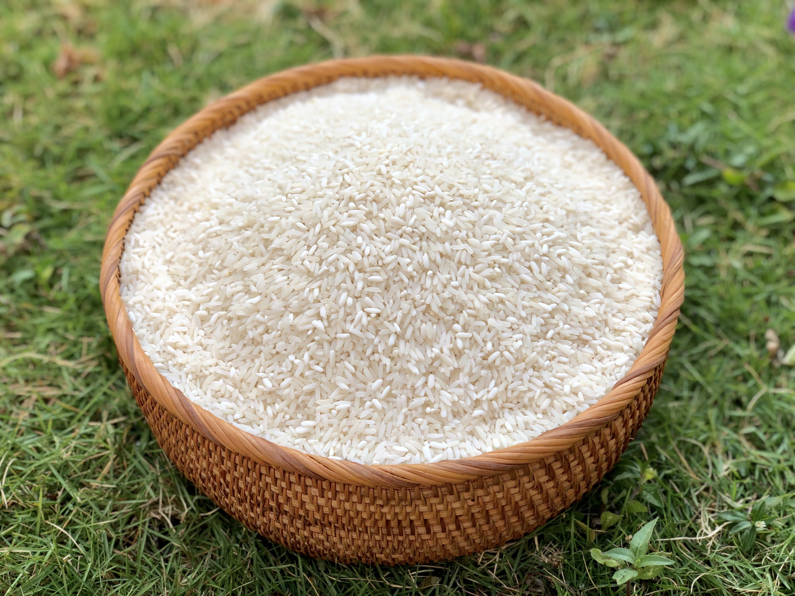 Đặt mua gạo Séng Cù trên hệ thống kênh bán hàng trực tuyến