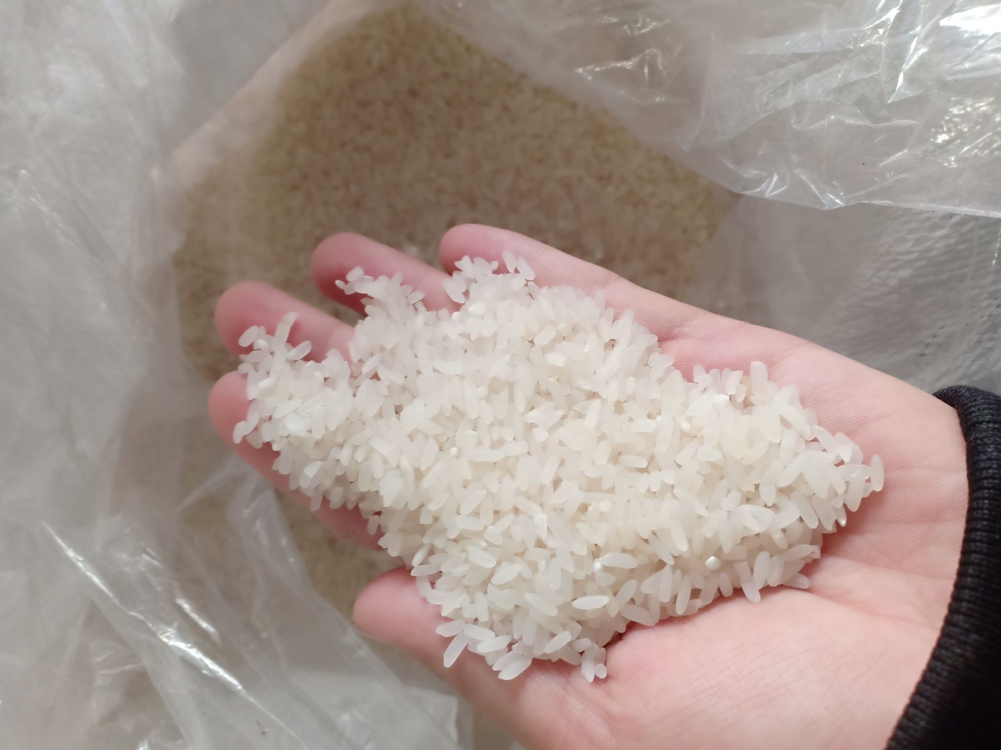 Kinh nghiệm chọn mua gạo Séng Cù giá tốt, chất lượng cao
