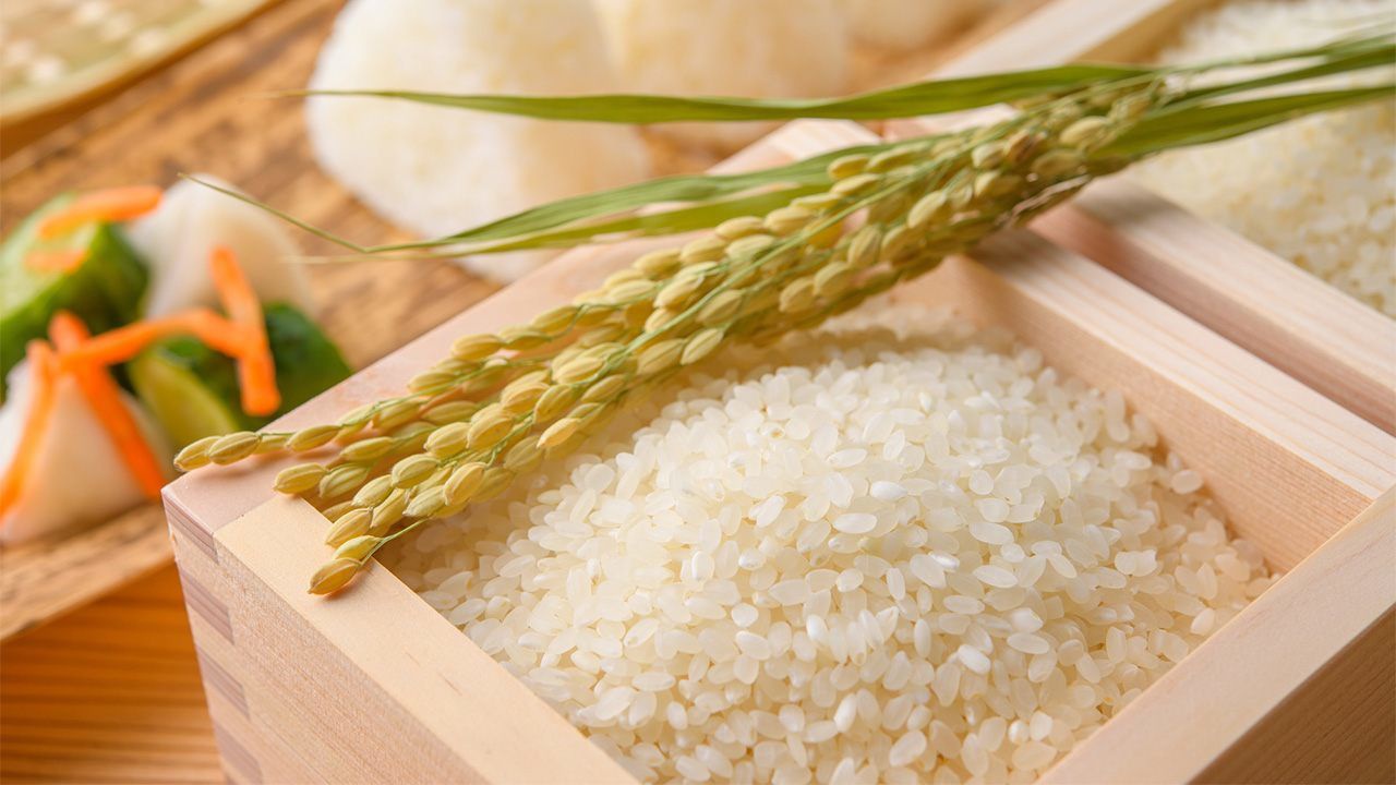 Top 5 loại gạo nổi bật để làm bánh cuốn tại Quốc Huy