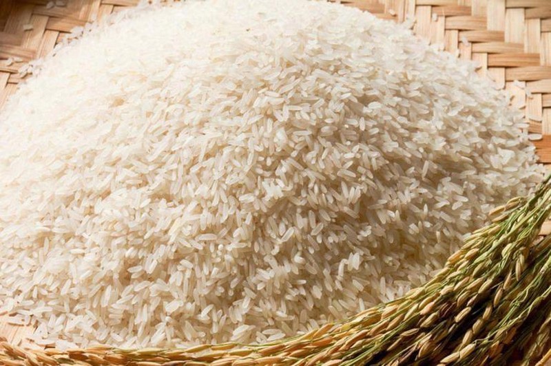 Gạo tám thái là gạo gì?