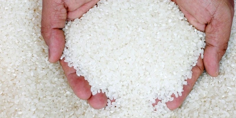 Địa chỉ bán gạo tấm hữu cơ uy tín, giá tốt