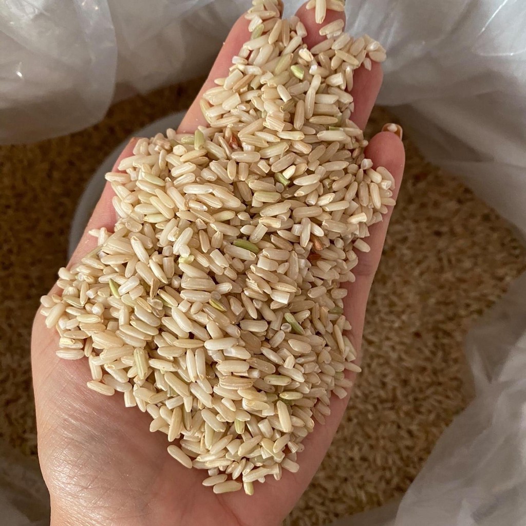 Gạo lứt Séng Cù là gạo gì?