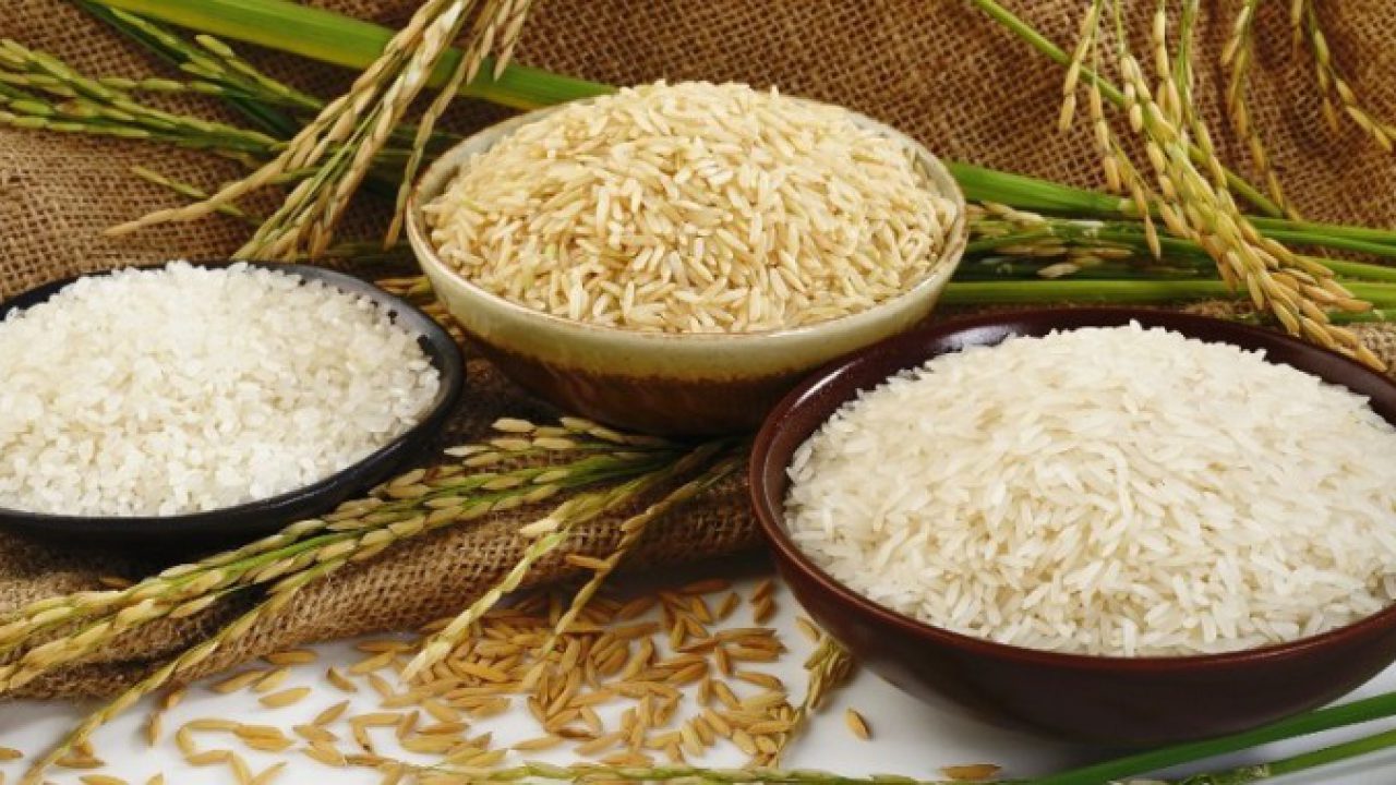 Quy trình mở đại lý kinh doanh gạo mới