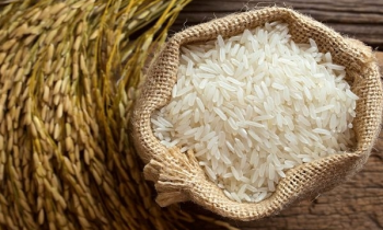 Gạo Lài Bún Giá Rẻ Thơm Ngon | Cam Kết Chất Lượng