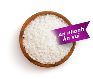Gạo Làm Bún